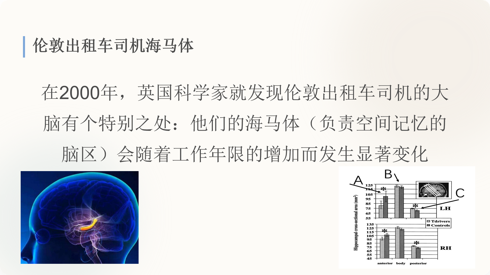 长期空间训练与海马体变化有关。
